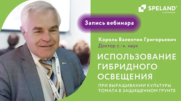 Запись вебинара: Использование гибридного освещения при выращивании культуры томата в защищенном грунте