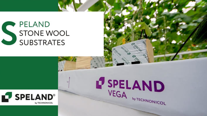 SPELAND. Stone wool substrates